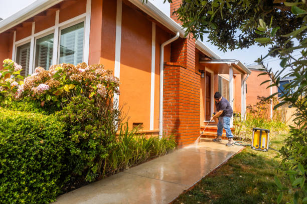 Best Pressure Washing Company Near Me  in Tuscoosa, AL